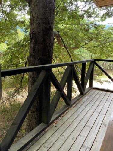 Foto sihtkohas Choshuenco asuva majutusasutuse Lodge Punahue galeriist