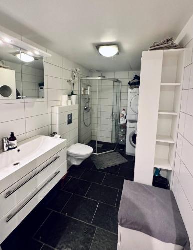 a bathroom with a sink and a toilet and a shower at Koselig leilighet i smeaheia in Sandnes