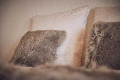 two stuffed animals sitting on a couch next to a pillow at Altes Eichamt in Bernkastel-Kues