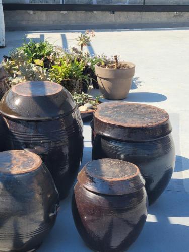 a group of drums sitting next to some plants at Son-Gil Guesthouse in Jinju