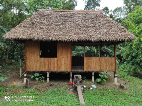 En have udenfor Castaña Amazon Park