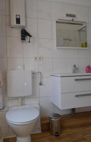 a white bathroom with a toilet and a sink at Ferienwohnungen am Stadtpalais Fewo-Mosel in Bernkastel-Kues