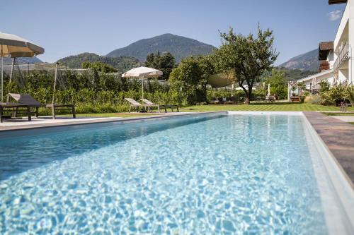 a swimming pool with mountains in the background at Boutique Hotel Wiesenhof - Adults Only in Lana