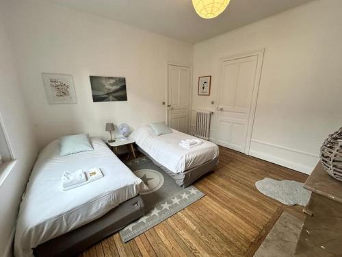 Clou dans le fer hyper centre immeuble luxueux