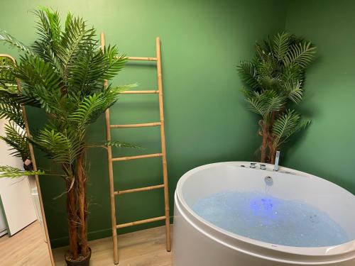 Photo de la galerie de l'établissement Évasion exotique - Suite Selva - Jaccuzzi privatif, à Amiens