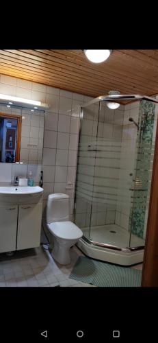 a bathroom with a toilet and a shower and a sink at Alppitalo huoneisto in Tahkovuori