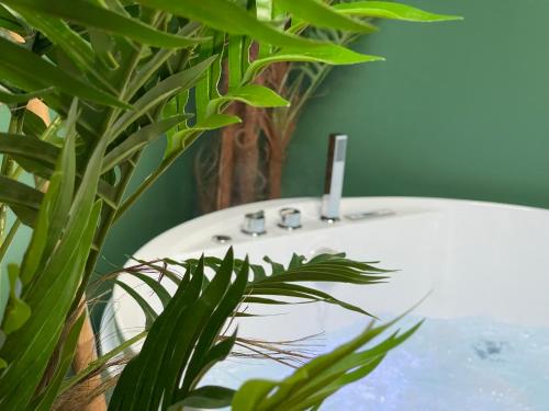 Photo de la galerie de l'établissement Évasion exotique - Suite Selva - Jaccuzzi privatif, à Amiens