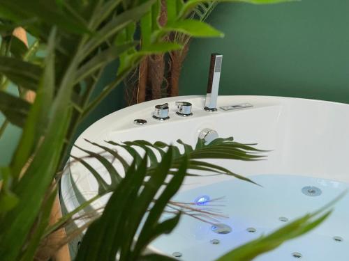 Photo de la galerie de l'établissement Évasion exotique - Suite Selva - Jaccuzzi privatif, à Amiens