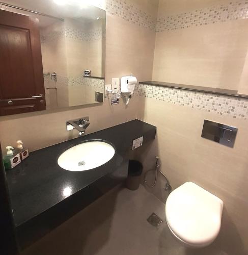 a bathroom with a sink and a toilet and a mirror at ViaVia Boutique Hotel - Kathmandu in Kathmandu