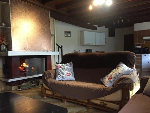 un salon avec un canapé et une cheminée dans l'établissement Maison Lac de Pareloup -LES PIEDS DANS L'EAU-, à Arvieu