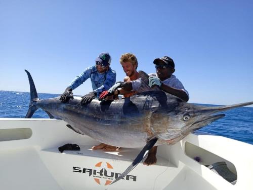 Φωτογραφία από το άλμπουμ του Bertin Fishing Nosy Be στο Νόσι Μπε