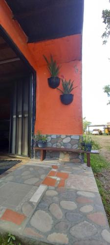 a building with potted plants on the side of it at Boresta House -Santa Elena con vista al Bosque y terraza privada in Medellín
