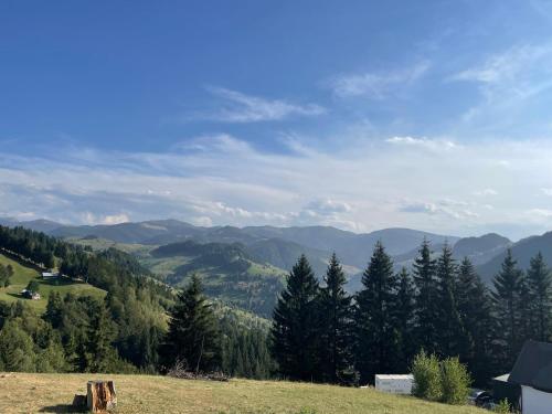 a view of a hill with mountains in the background at Casa Dudu in Moieciu de Jos
