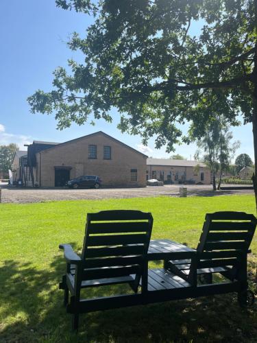 two benches sitting in the grass under a tree at Spirit Bed & Breakfast in Ekeby