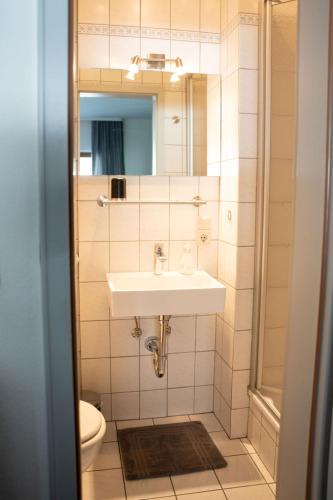 a bathroom with a sink and a mirror at Claes Weinquartier - Appartements & Wein by Niko Schmitt in Trittenheim