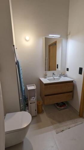 une salle de bain avec un lavabo, des toilettes et un miroir dans l'établissement Appartement ludothèque familial neuf à Combloux, à Combloux
