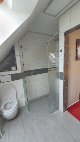 a bathroom with a toilet and a glass shower at Hotel/Restaurant Balkan in Sömmerda