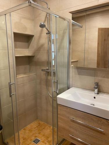 a bathroom with a shower and a sink at Ferienwohnung auf dem Gutshof Renz in Weißenfels