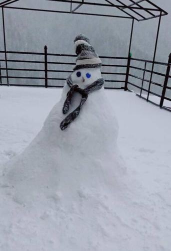 a snowman made out of snow in front of a fence at House of views in Retri Gali