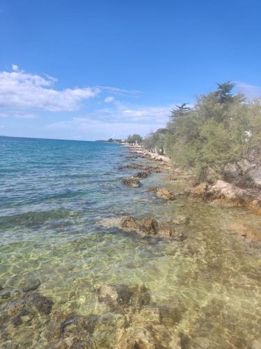 Φυσικό τοπίο κοντά σε αυτό το διαμέρισμα