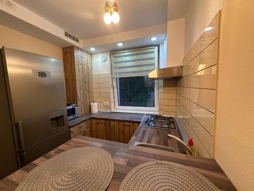 a kitchen with a stainless steel refrigerator and a sink at Zlata Ultracentral Apartment MV16 in Suceava
