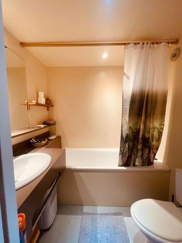 une salle de bain avec toilettes, lavabo et douche dans l'établissement Joli appartement avec vue Arc 2000, à Arc 2000