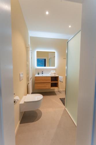a bathroom with a toilet and a sink at Manoir du Moulin in Berloz
