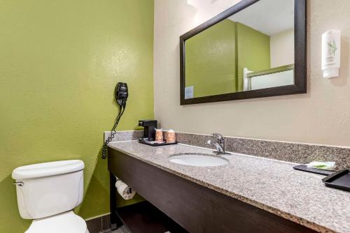 a bathroom with a toilet and a sink with a mirror at Sleep Inn & Suites Montgomery East I-85 in Montgomery