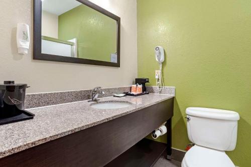 a bathroom with a toilet and a sink with a mirror at Sleep Inn & Suites Montgomery East I-85 in Montgomery