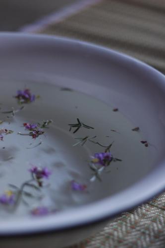 a plate with flowers on it on a table at Pousada Zazen in Vale do Capao