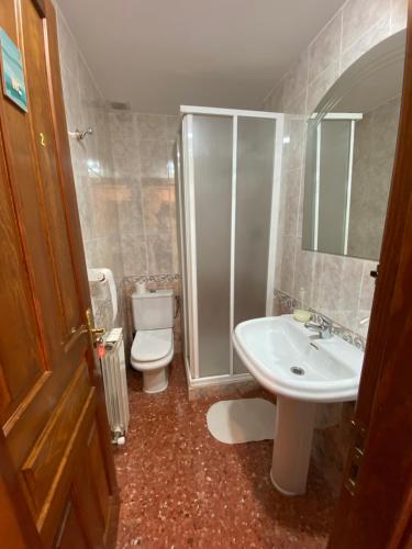 a bathroom with a toilet and a sink and a shower at Pension Los Mallos in Riglos