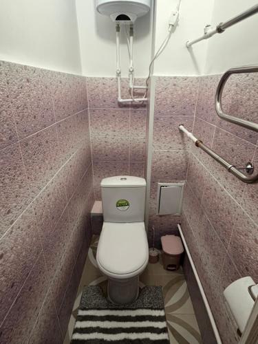 a bathroom with a toilet in a pink bathroom at Трёхкомнатная квартира в центре Борового in Borovoye