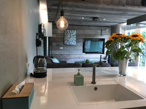 a kitchen with a sink and a living room at Villa Pats in Gilze