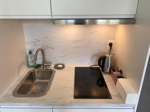 une cuisine avec un évier et un plan de travail dans l'établissement Charmant perchoir plein sud à Boulogne !, à Boulogne-Billancourt
