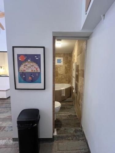 une salle de bain avec toilettes et baignoire dans l'établissement Studio Central Ancien Hotel Salomon XVIe siècle, à Marseille