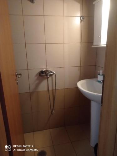 a bathroom with a shower and a sink at Kandilari Apartments in Kokkino Nero