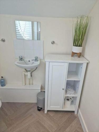 a white bathroom with a sink and a mirror at The Bedsit in Pembrokeshire