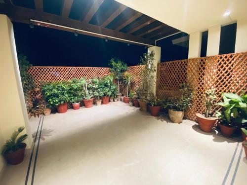 a patio with a bunch of potted plants at Sunset BnB Creek in Karachi