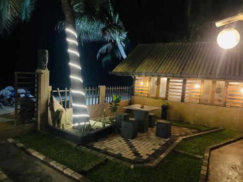 a backyard with a table and a palm tree at night at Winston Sea Front Villa in Negombo