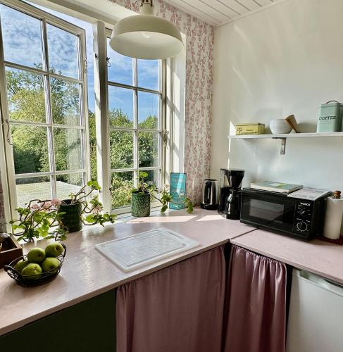a kitchen counter with a microwave and a bowl of fruit at SleepOrup in Faxe