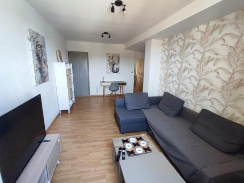 un salon avec un canapé et une télévision dans l'établissement Appartement sympathique Saint Nazaire en Royans, à Saint-Nazaire-en-Royans