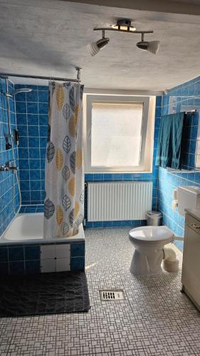 ハノーファーにあるUnterkunft Hannover LAATZENの青いタイル張りのバスルーム(シャワー、トイレ付)