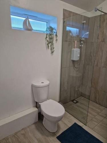 a bathroom with a toilet and a shower at Ty Cwtch in Nottage