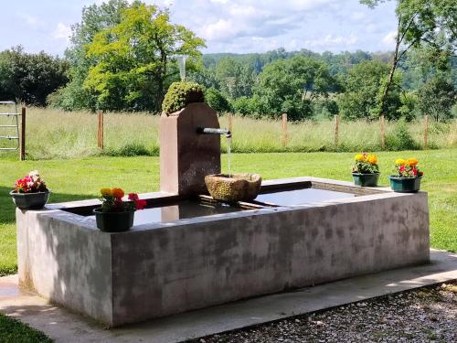 a concrete fountain with flowers in a field at Gîte Le Vieux Chêne in Lhuis