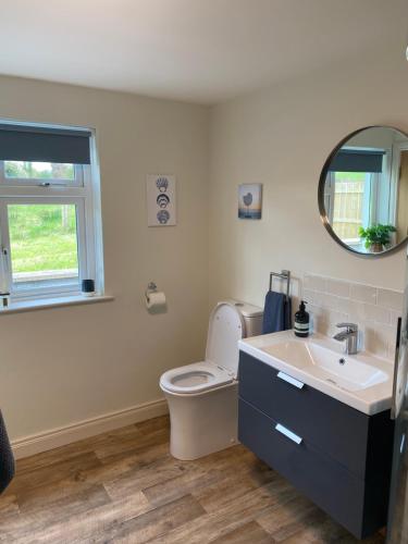 ein Badezimmer mit Toilette, Waschbecken und Spiegel in der Unterkunft Joe’s Cottage in Tynan