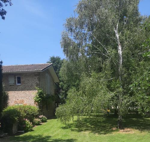 a house with a tree in the yard at Gite le Trouilh in Saint-Maurice-sur-Adour