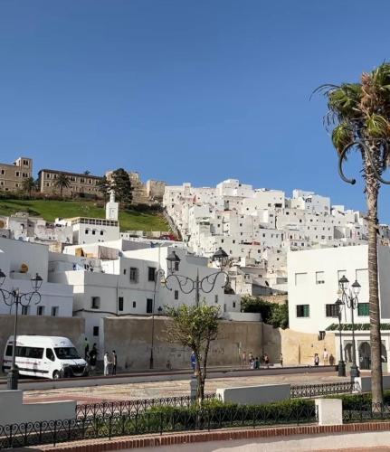a city with white buildings and a palm tree at joli appart avec terrasse au centre ville in Tetouan