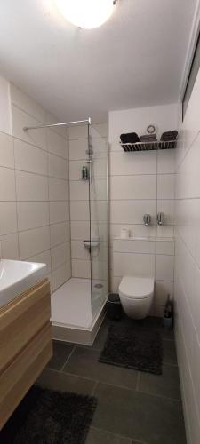 a bathroom with a shower and a toilet and a sink at Wohnung im Zentrum mit Ausblick in Offenbach