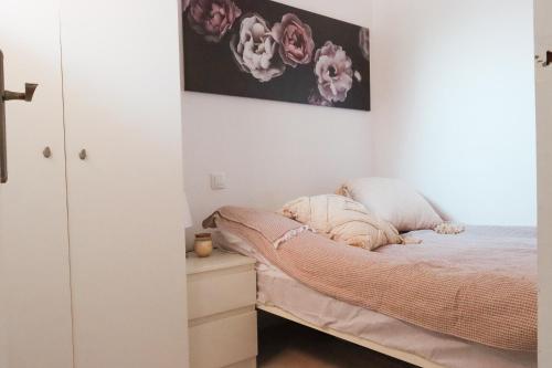 Casa Catalina Torrevieja, la Mata