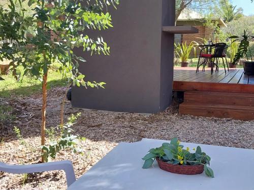 a table with a potted plant on a deck at Hojas de Otoño SOLO CON SEÑA in Piriápolis